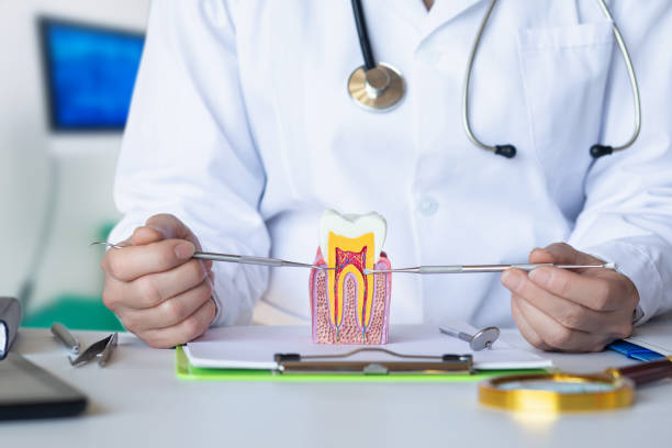 Best Emergency Dental Care for Abscessed Tooth in Bellefontaine Neighbors, MO
